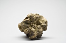 Forget Italy, your next high-end truffle is coming from Greece