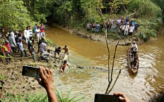 Man killed by crocodile in East Kutai