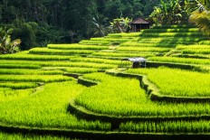 Bali: A haven for addiction recovery