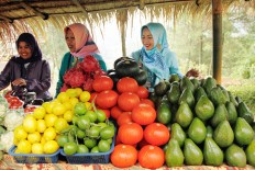 Fruit exports grow, imports decrease