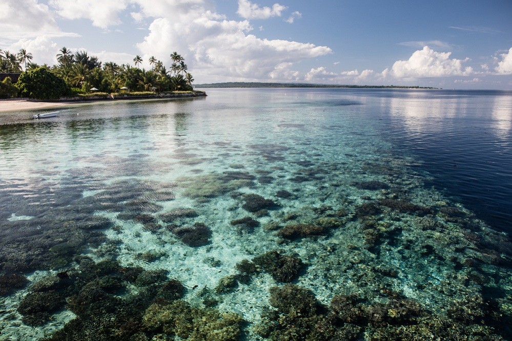 Coral exports ban: Threat or opportunity for sustainability?