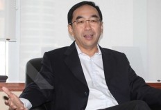 NPLs fall year-on-year in January: OJK