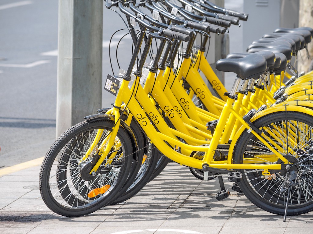 ofo bike sharing