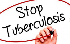 Fight against TB: WHO South-East Asia Region Office (SEARO) member countries agree to accelerate efforts to End TB in the region in a statement adopted at the End TB Summit in New Delhi, India, on March 14.