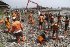 Half of sea of trash in North Jakarta mangrove area removed
