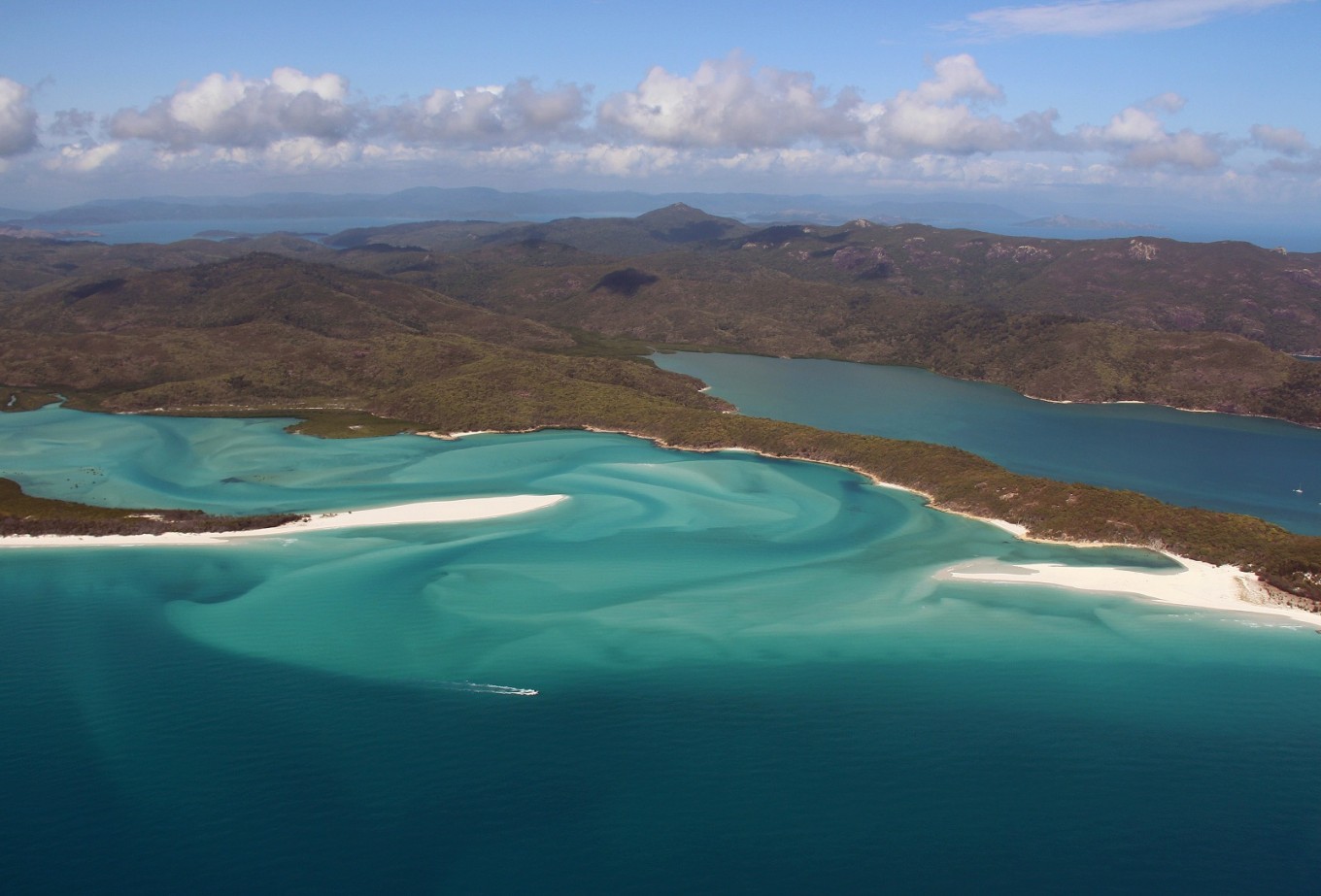 Man killed in third shark attack in weeks on Great Barrier Reef - World ...