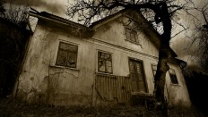 Shamans, snake charmers needed on horror movies sets