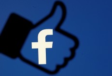 Facebook 'terrorism' definition 'overly broad': UN expert