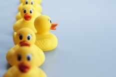 Ugly ducklings: should rubber ducks be banned from the bath?