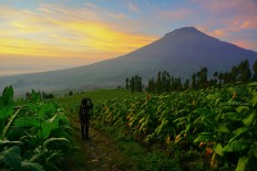 Mount Sumbing in Central Java to reopen to hikers