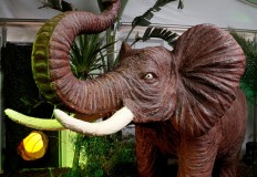 Huge chocolate statues spring up in Belgium