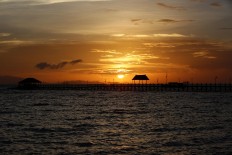 Environment and Forestry Ministry creates team to manage Komodo National Park