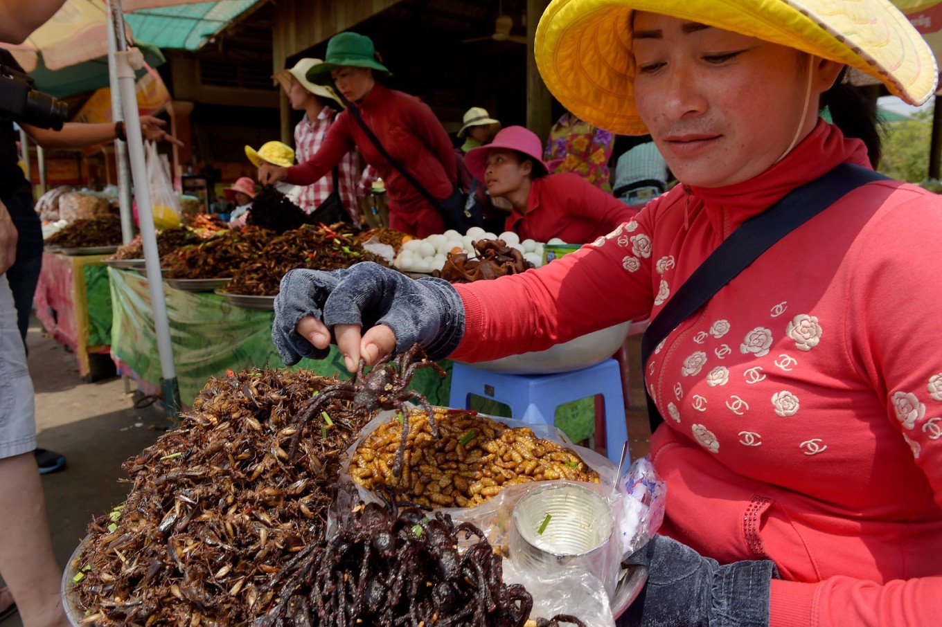 In Cambodia, fears tarantula may go off the menu - Food - The Jakarta Post