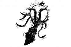 Short Story: The squid who fell in love with the sun