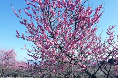 Small cities boost tourism amid aging population