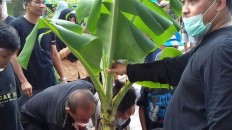 Tangerang residents plant trees on damaged roads