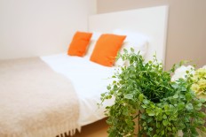 In Japan, new rules may leave home-sharing industry out in the cold