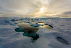 Climate change may boost Arctic 'virus spillover' risk