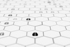 Blockchain a blind spot in graft eradication