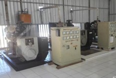  PLN told to convert fossil diesel power plants to CPO-diesel fuel 