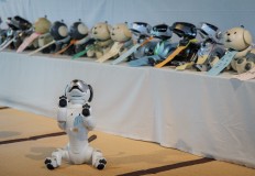 Sony, ANA to jointly develop remotely controlled avatar robot