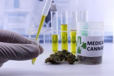 Zimbabwe legalises cannabis for medical, scientific use
