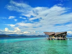Tree of Love beach festival highlight of Gorontalo calendar of events