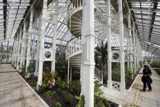 Giant London glasshouse with world's rarest plants reopens