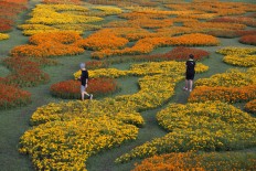 Steaming Bangkok seeks to go the green way