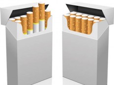 Govt 'wasted budget' on WTO tobacco packaging dispute, says YLKI 