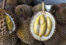 A green reason to love the durian