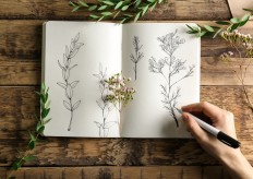 Indonesian lecturer among 30 best botanical illustrators 