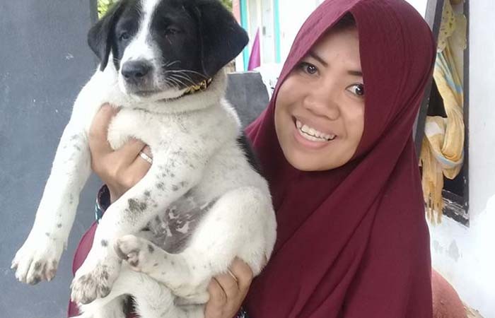 Bagaimana seorang wanita menyelamatkan anjing-anjing liar di Lombok, sendirian