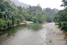 HAkA, Google Voyager, take Leuser Ecosystem online