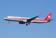 Sichuan Airlines pilot was 'sucked halfway' out of window, captain says