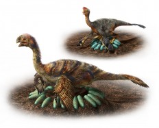 How does a one-tonne dino hatch its eggs? Carefully