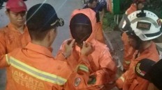 Rescue personnel remove large wasp nest from Asian Games venue