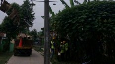 PLN Banten to relocate 'disruptive' Tangerang power poles