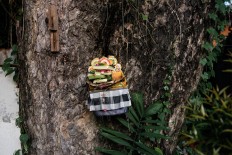 A wooden plate of offerings is placed in a tree on Jl. Hayam Wuruk in Denpasar, Bali. JP/Anggara Mahendra