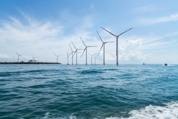 An offshore wind farm is seen in this picture.
