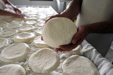 A wheel of Reblochon, a semi-soft mountain cheese, with curds in a farm at the Aravis Col, in La Clusaz, on August 21, 2013. Farm-produced Reblochon, granted with the AOC title, are made from milk of Abondance breed cows which is collected twice a day.