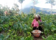 ‘Sister Village’ prepared for Merapi eruption