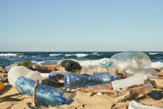Fighting plastic pollution through small steps