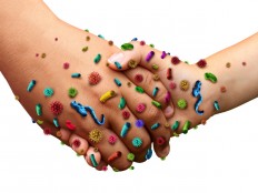 Disgust keeps people alive: Study