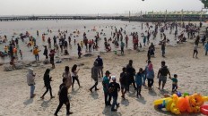 Police prioritize safety after crocodile sighting in Ancol