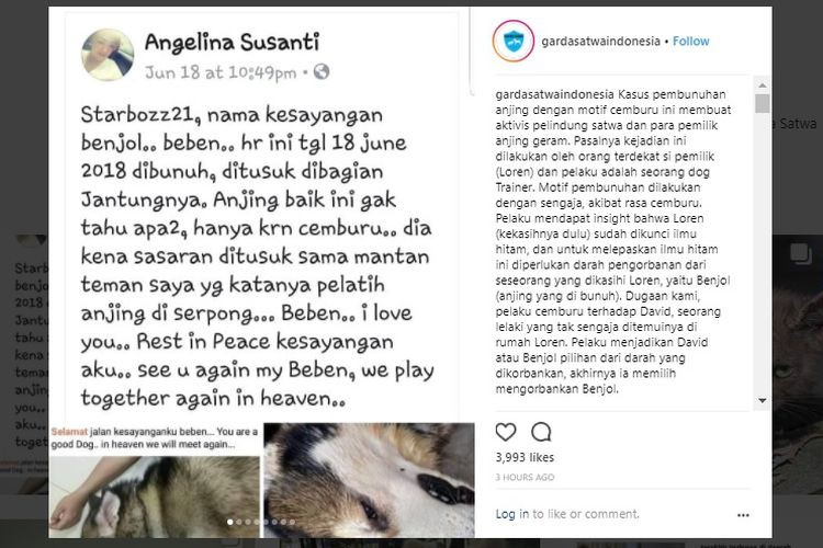 Man allegedly kills ex-girlfriend's dog in Tangerang
