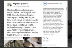 Group urges police to proceed with Tangerang animal cruelty case