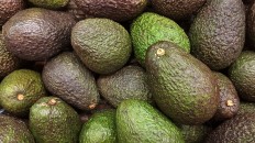 A new additive has been invented to lengthen the shelf life of avocados.
