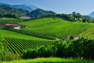 War, wine and wonders: Hopefuls vie for place on UNESCO heritage list