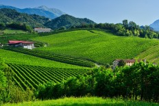 Italy's Prosecco hills join UNESCO World Heritage list